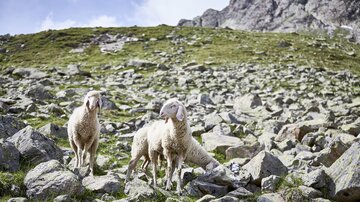 etappe_6_9.jpg | © Tourismusverband Paznaun - Ischgl