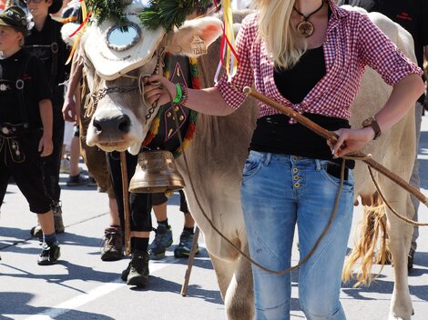 Almabtrieb