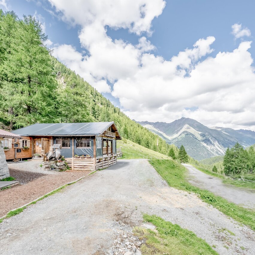 A picturesque mountain landscape with green forests and impressive peaks. In the foreground stand two cozy cabins.