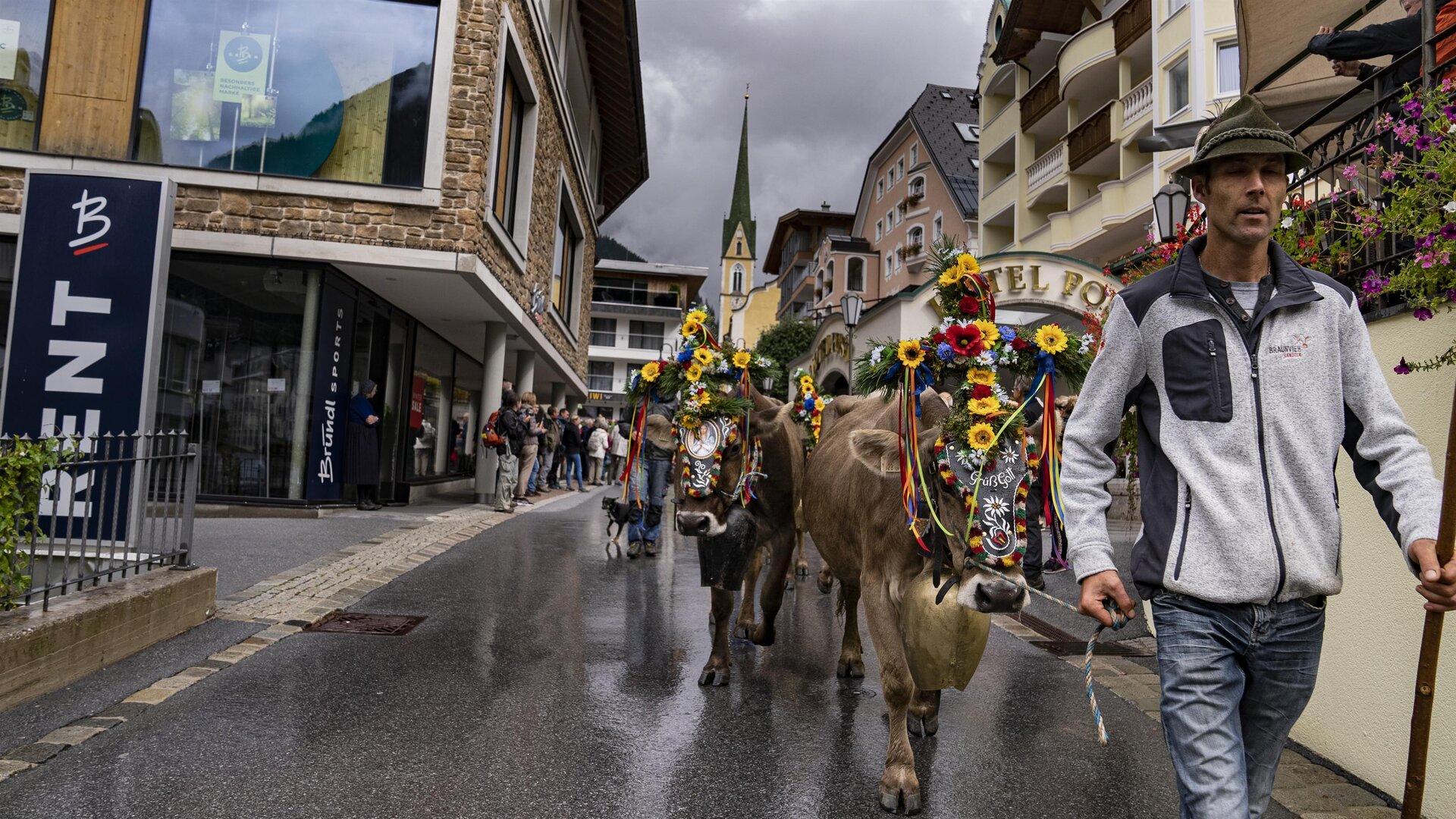 A festive procession with decorated cows and children in traditional attire. The animals wear colorful flower crowns and the background shows a large crowd of spectators.