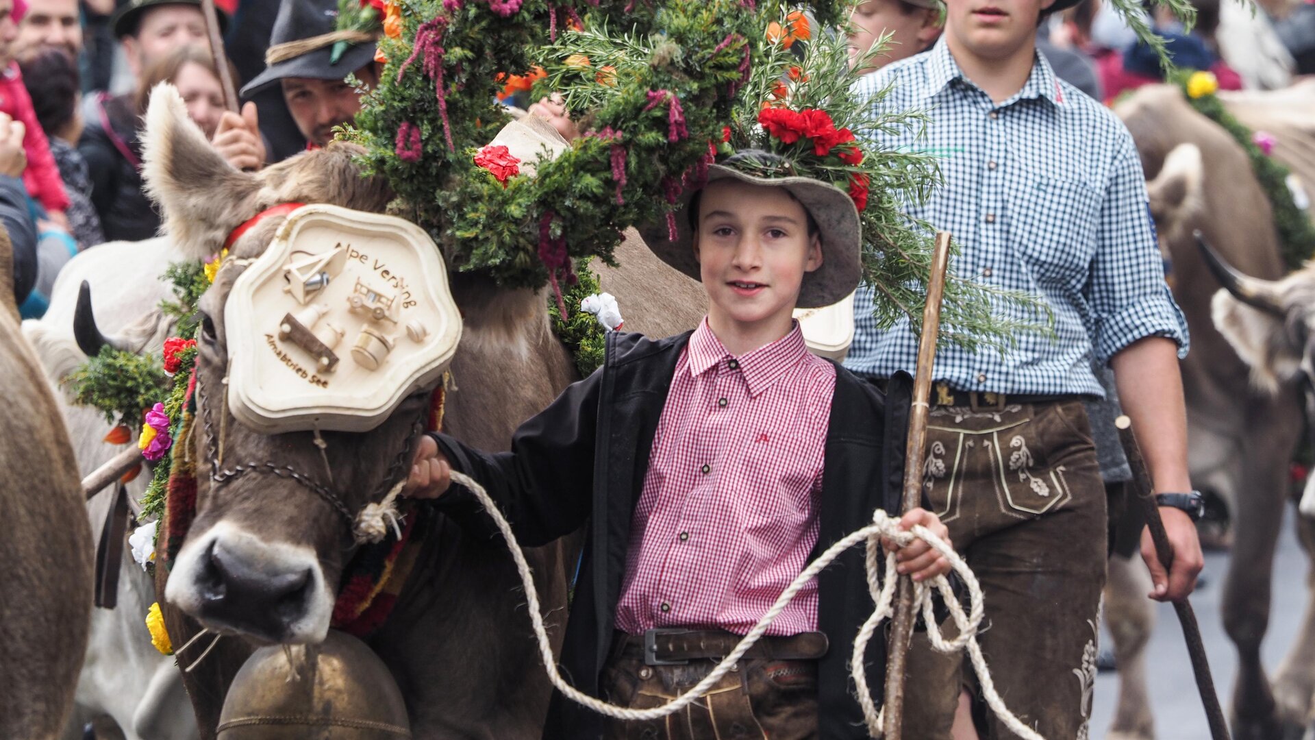 A festive procession with decorated cows and children in traditional attire. The animals wear colorful flower crowns and the background shows a large crowd of spectators.