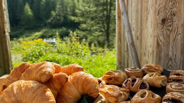 Ein Korb mit frischen Croissants und eine Platte mit süßen Gebäckstücken stehen in einer naturnahen Umgebung. Im Hintergrund sind Bäume und Berge sichtbar.