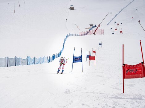 ski-wm