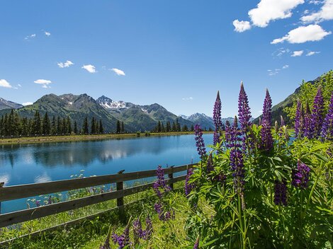 Eine malerische Landschaft mit lila Blumen am Ufer eines klaren Sees. Im Hintergrund erheben sich majestätische Berge unter einem blauen Himmel.