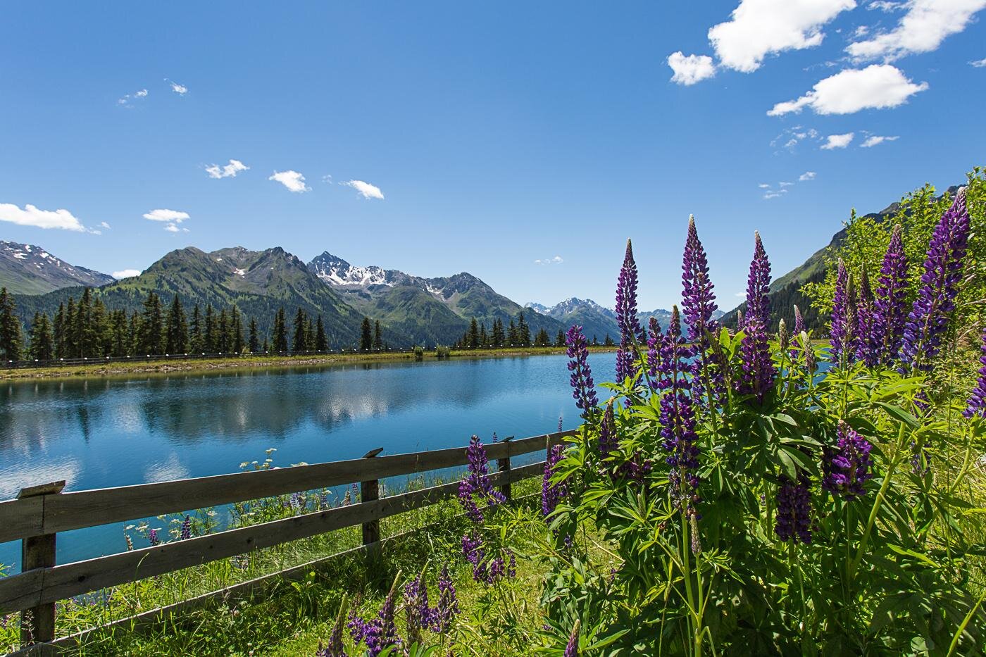Eine malerische Landschaft mit lila Blumen am Ufer eines klaren Sees. Im Hintergrund erheben sich majestätische Berge unter einem blauen Himmel.