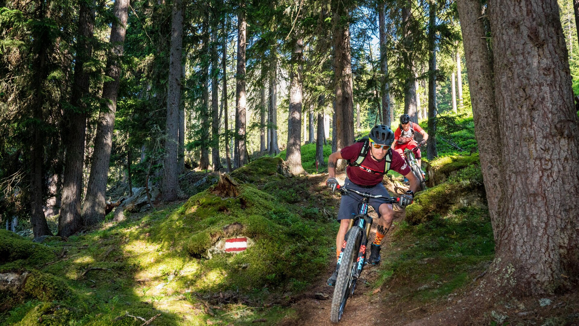 Trailday und Fahrtechniktraining