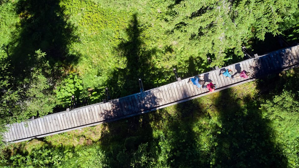 Ein Holzsteg verläuft durch eine grüne Landschaft. Im Hintergrund sind Schatten von Bäumen zu sehen, während sich einige Personen auf dem Steg entspannen.