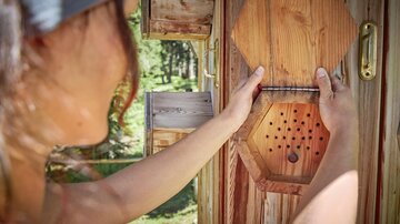Eine Person öffnet ein holzfarbenes Insektenhotel. Im Hintergrund sind Bäume und Natur sichtbar.