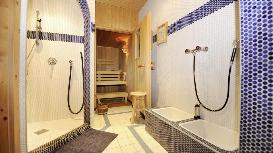 Apart_Zimalis_Wellnessbereich_Tirol_Galtuer